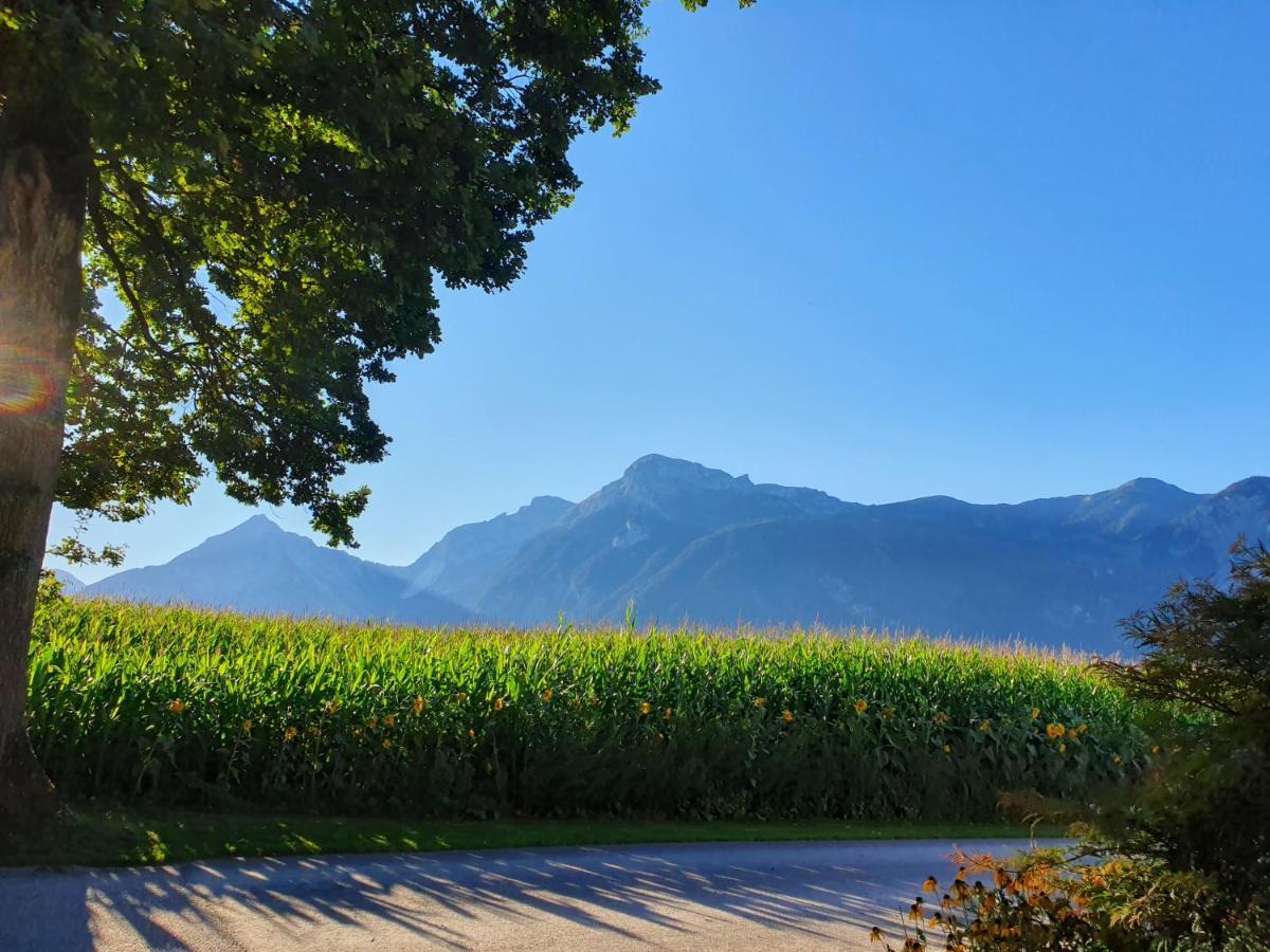 Eichenhof Apartment Reith im Alpbachtal Bagian luar foto